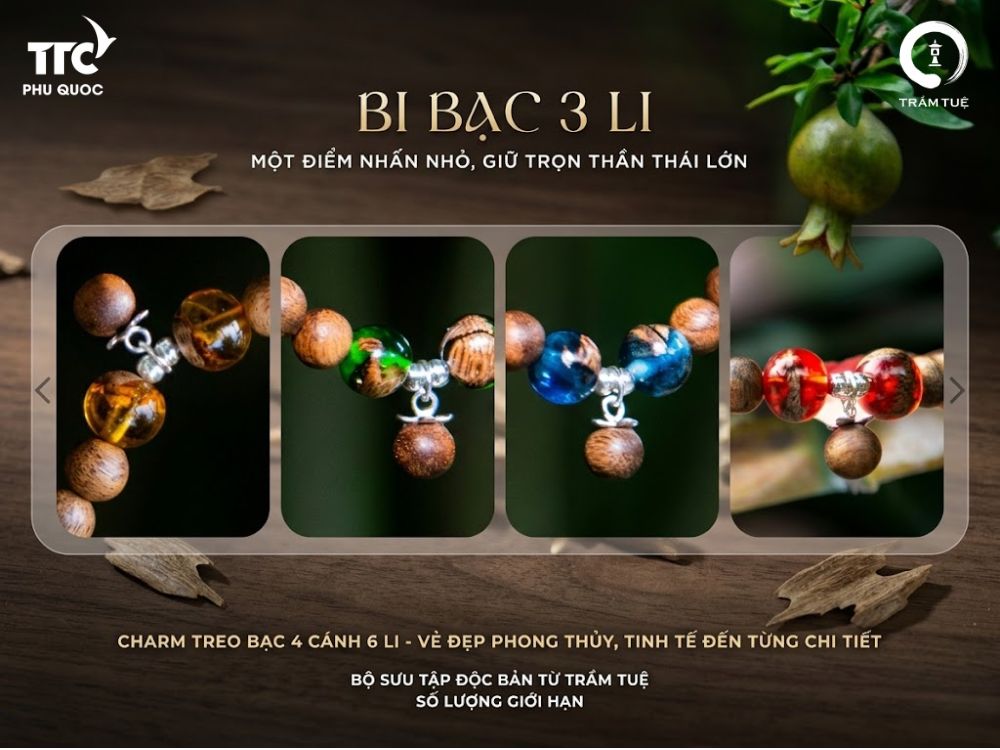 Giới thiệu về sản phẩm