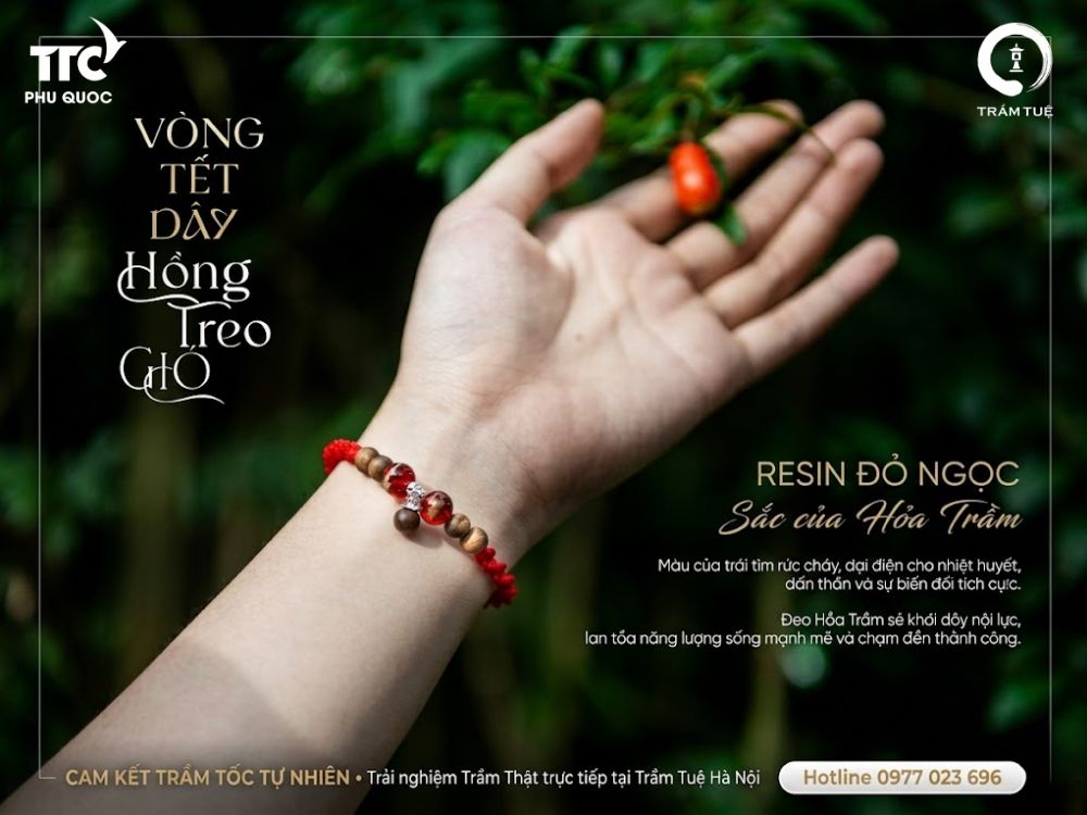 Thành phần & nguyên liệu