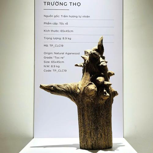 Trầm Cảnh Trường Thọ