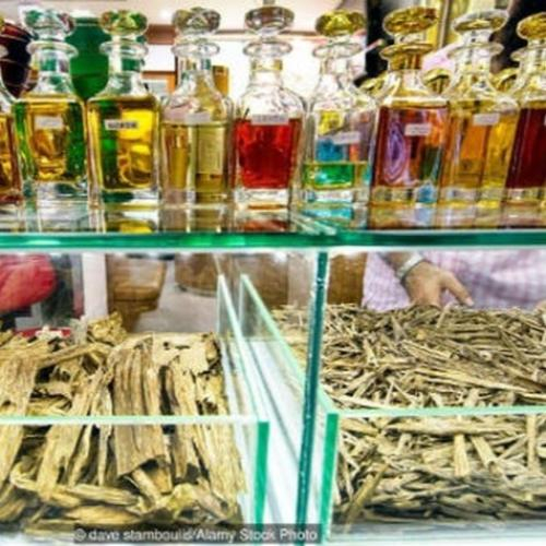 Trầm Hương - Món Vàng Hấp Dẫn Cả Thế Giới