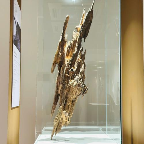 Trầm Cảnh Thanh Mai