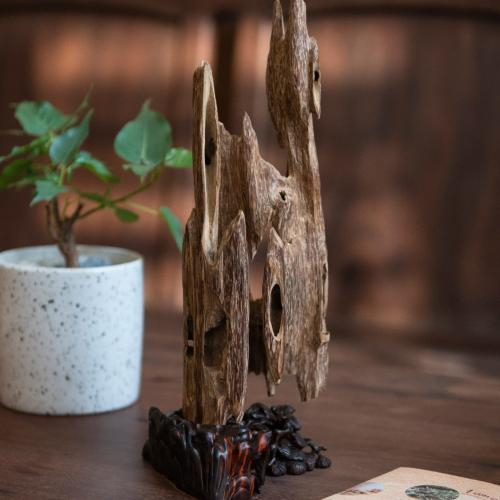 Trầm Cảnh Trầm Mộc An