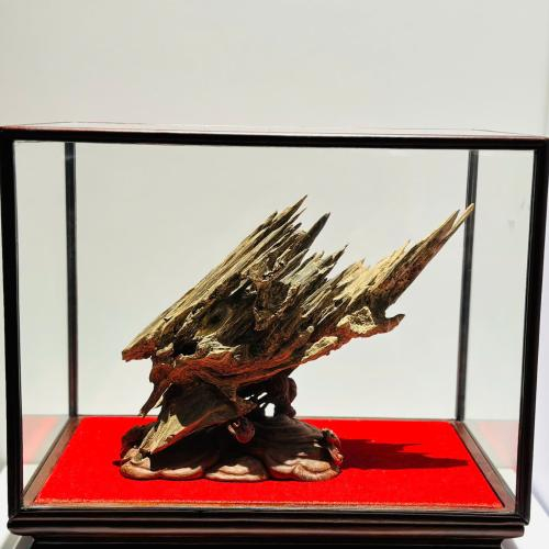 Trầm Cảnh Phước An