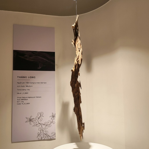 Trầm Cảnh Thái Sơn