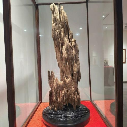 Trầm Cảnh Sơn Vũ