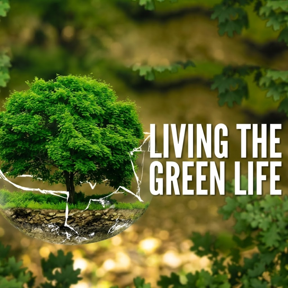 Lối Sống Xanh - Giải Pháp Cho Tương Lai Bền Vững Toàn Cầu