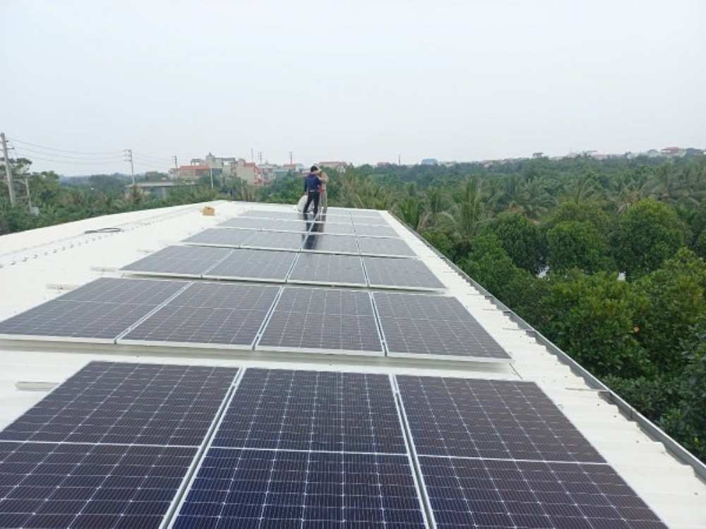 Giới thiệu sơ lược