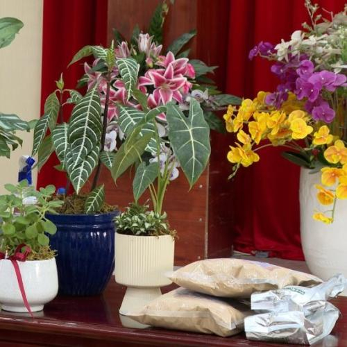 Phú Quốc Ứng Dụng Công Nghệ Nông Nghiệp Và Môi Trường Vào Du Lịch