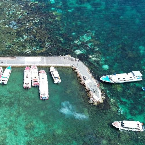 Đảo Không Rác Thải Nhựa