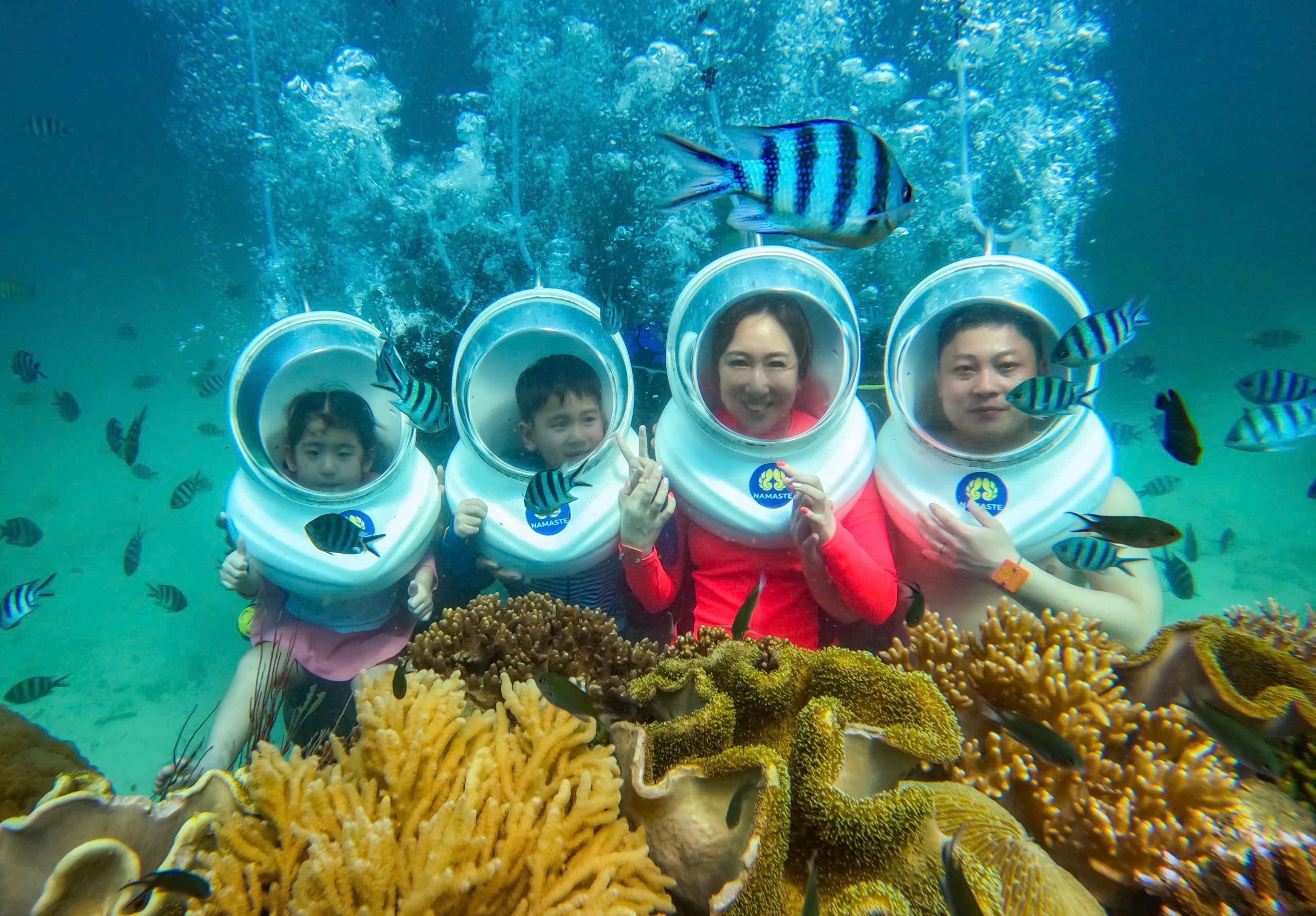 Namaste Coral Park – A Wonder Beneath the Ocean