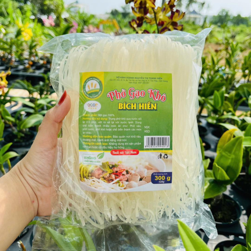 Bich Hien Dry Rice Pho