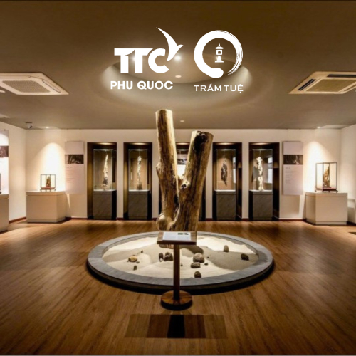 Agarwood Discovery Experience Package