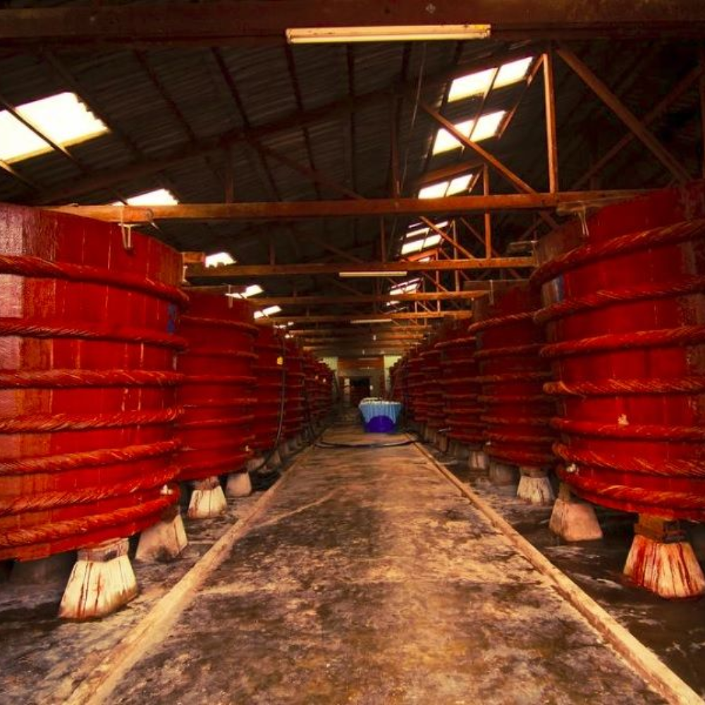 Bí Mật Nằm Ở Thùng Gỗ Vì Sao Hương Vị Nước Mắm Phụ Thuộc Vào Vật Liệu Ủ Chượp?