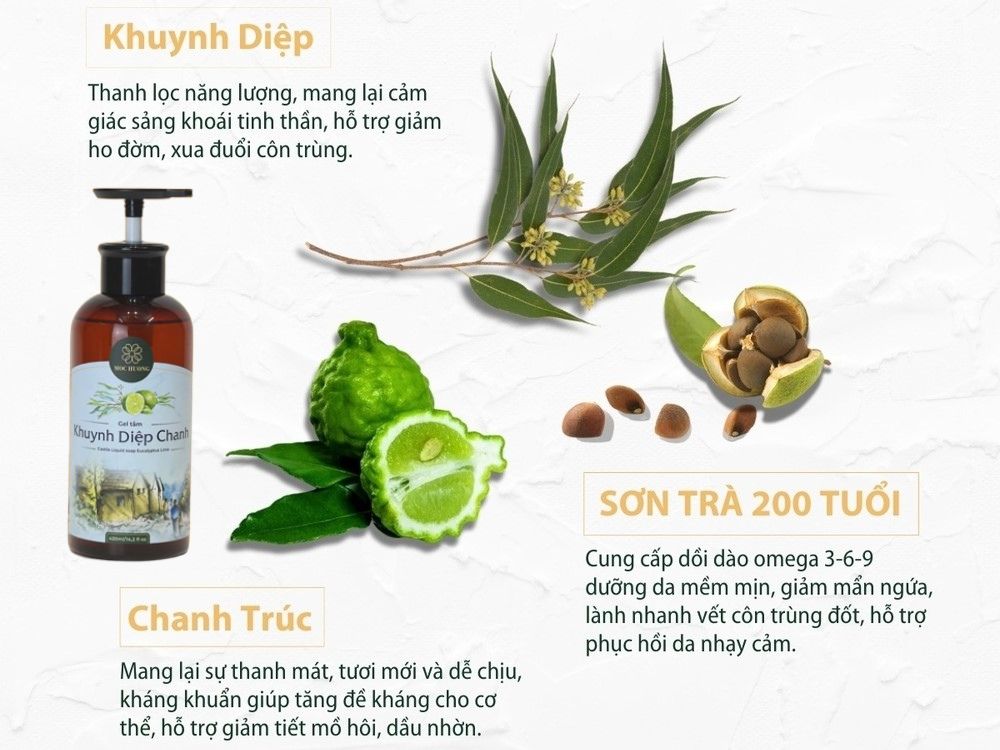 2. Thành phần & xuất xứ