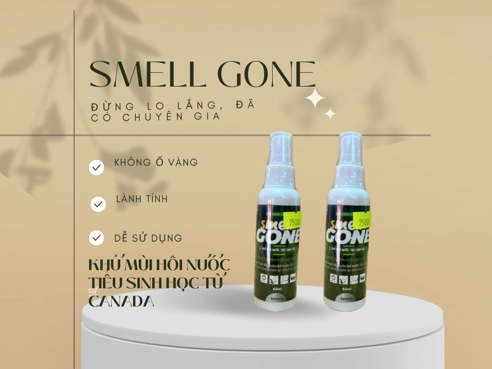 1. Giới thiệu sản phẩm