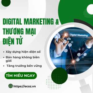 Digital Marketing Và Thương Mại Điện ử