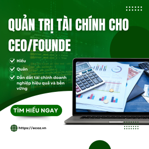 Quản Trị Tài Chính Cho CEO/Founde
