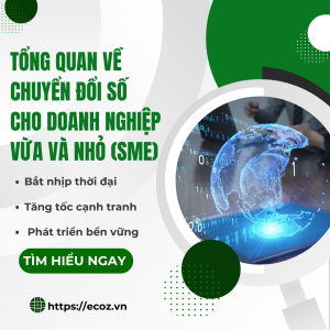 Tổng Quan Về Chuyển Đổi Số Cho Doanh Nghiệp Vừa Và Nhỏ (SME)