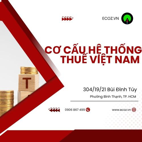 Cơ Cấu Hệ Thống Thuế Việt Nam và Ảnh Hưởng Đến Doanh Nghiệp