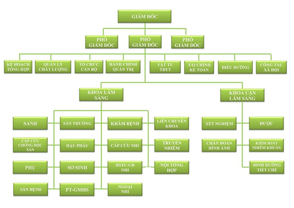 Sơ đồ tổ chức