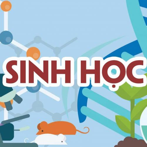 (Giáo dục phổ thông) [Sinh học 11] Ôn tập HKI