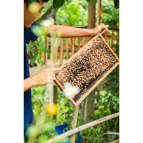 (TOUR GHÉP) Chèo Thuyền Thúng Sông Cửa Cạn + Tham Quan Trang Trại Mật Ong