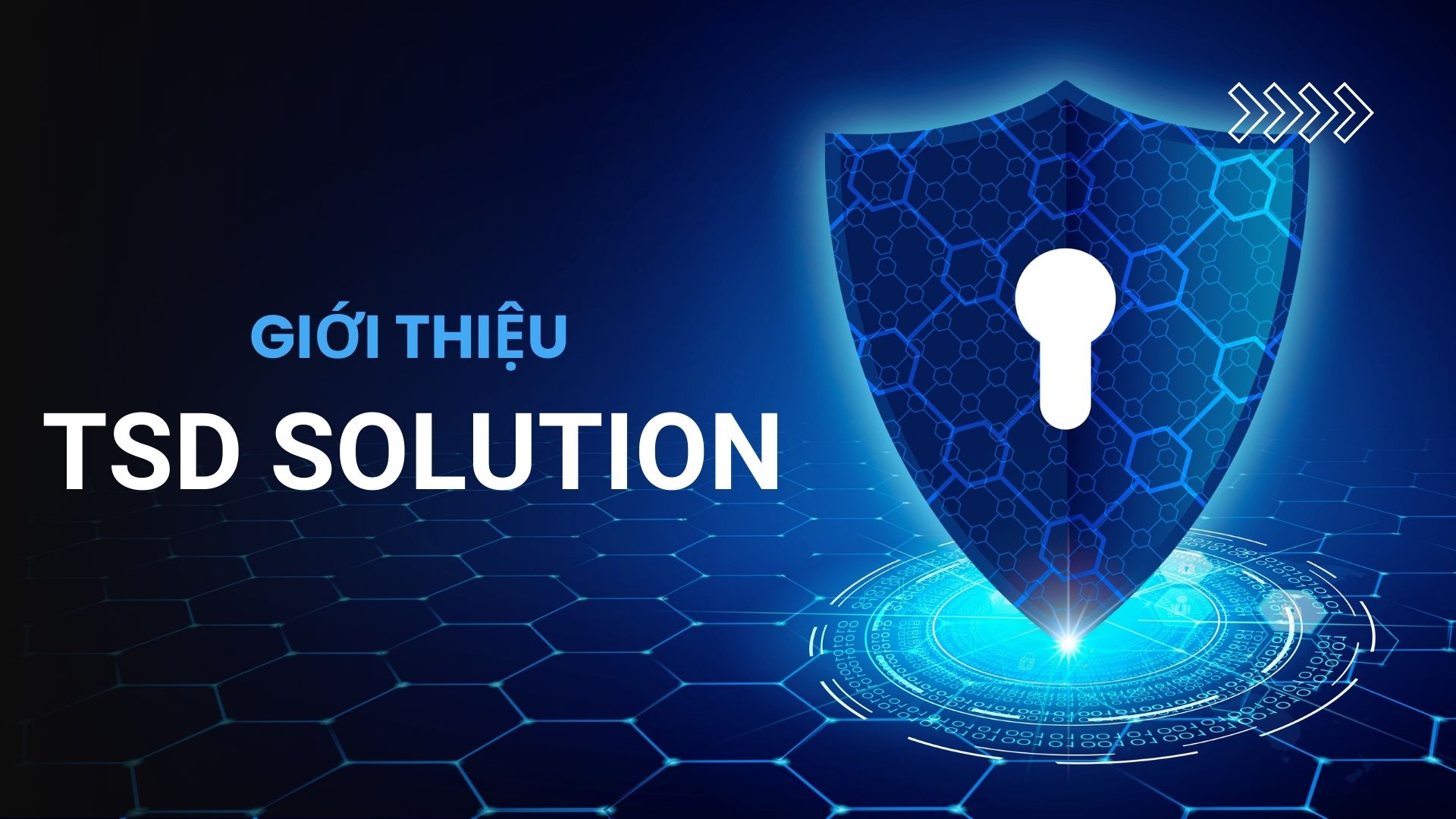 I. Về  TSD Solution