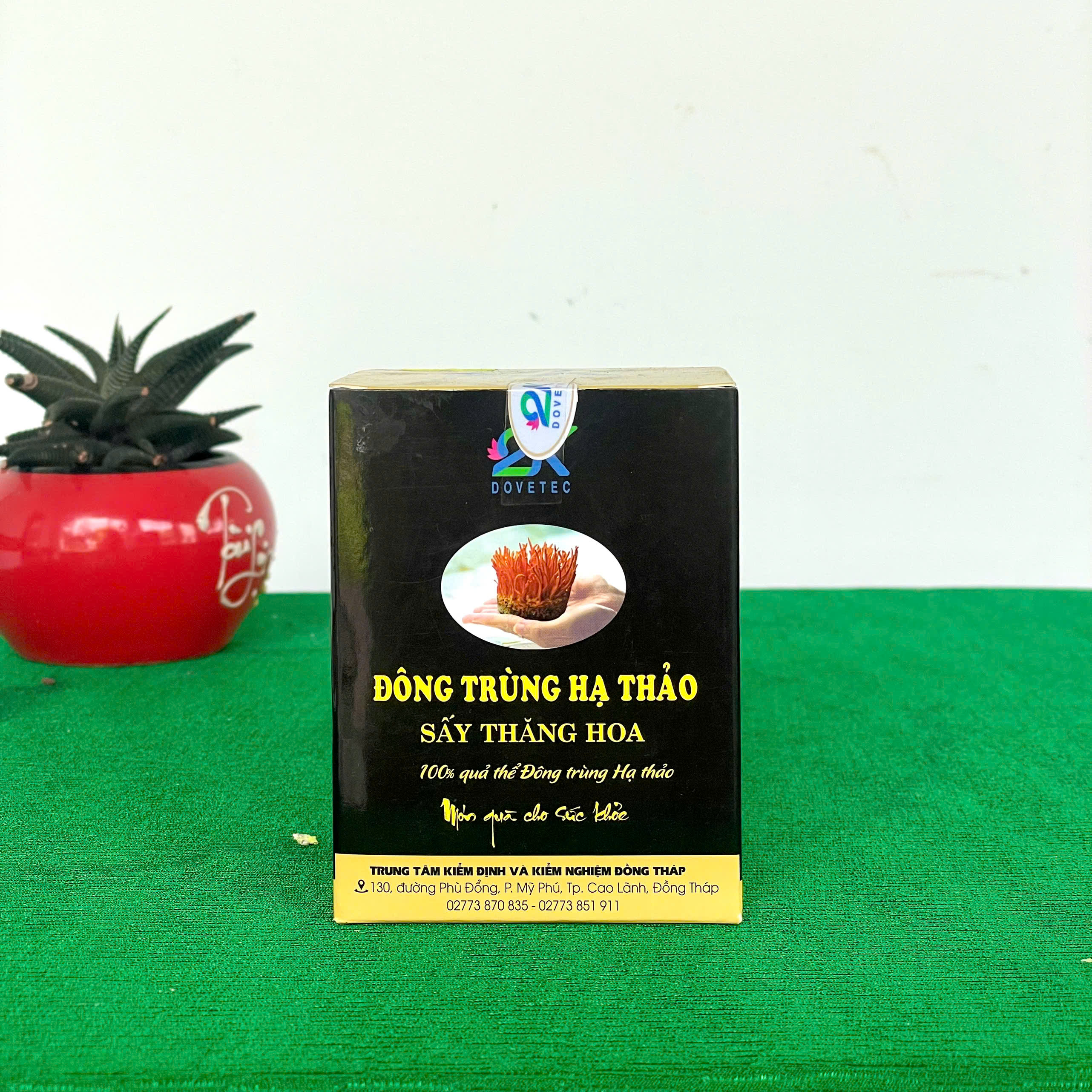 Ca7405Ab7fHd0bB Đông Trùng Hạ Thảo - 2K Dovetec