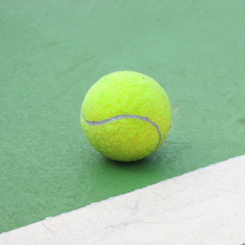 Bóng Tennis Penn Championship