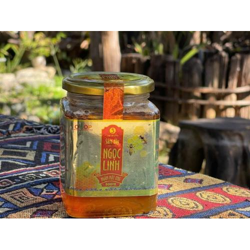 2. Sâm dây Ngọc Linh ngâm mật ong