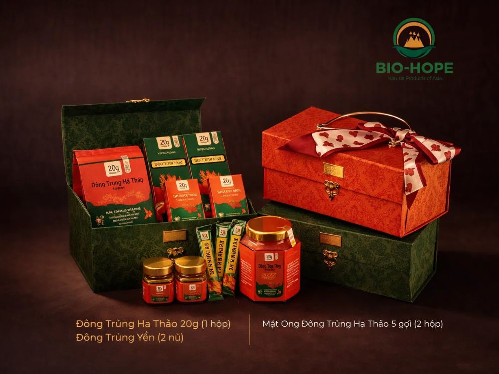 Lưu ý khi sử dụng