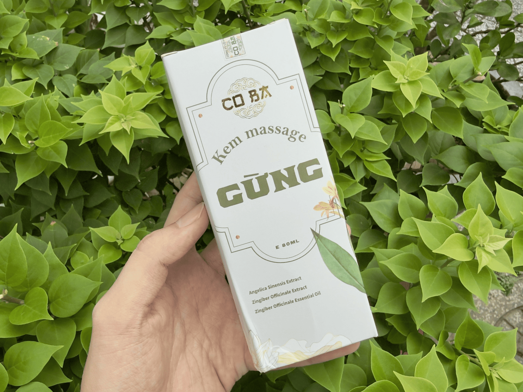 Những đối tượng phù hợp đề sử dụng