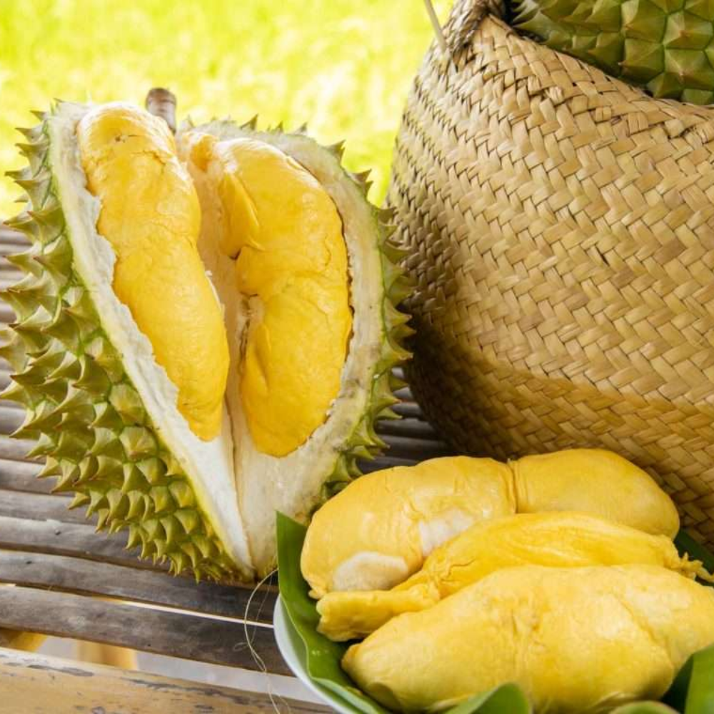 Sầu Riêng Có Nguồn Gốc Từ Đâu Và Phát Triển Như Thế  Nào?