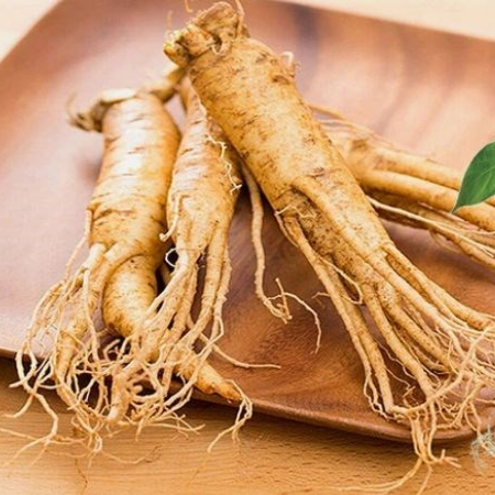 Lợi Ích Của Trà Nhân Sâm Đối Với Sức Khoẻ Của Con Người