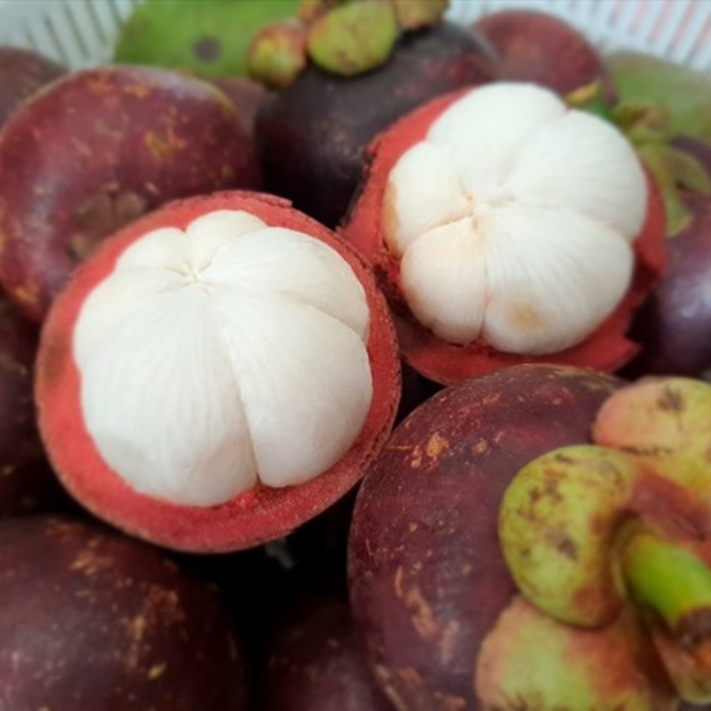 Măng Cụt - Những Viên Thạch Anh Tím Của Cần Thơ