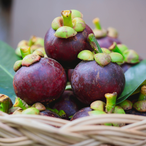 Măng Cụt Có Tác Dụng Gì Với Làn Da Và Hệ Tiêu Hóa