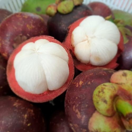 Măng Cụt - Những Viên Thạch Anh Tím Của Cần Thơ