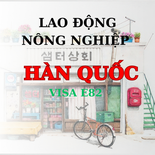 Tuyển Dụng Lao Động Làm Việc Tại Hàn Quốc Theo Diện Visa E82