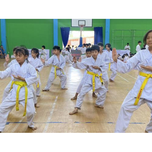 Kỳ Thi Thăng Cấp Đai Quý 1 Năm 2024 🥋