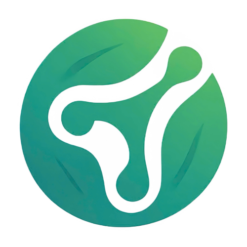 HST Digital Ecosystem