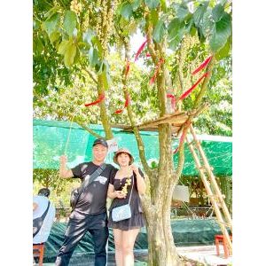 Chụp Ảnh Cùng Vườn Trái Cây Trĩu Quả