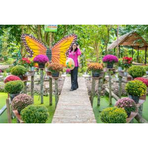 Thông tin chi tiết