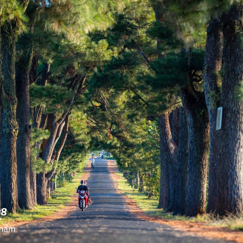 Top 5 Cung Đường Check-in Đẹp Nhất Gia Lai Cho Các Tín Đồ Mê "xê dịch"