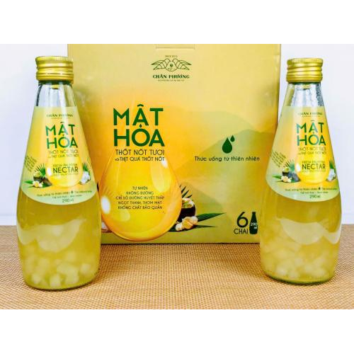 Mật Hoa Thốt Nốt Chân Phương – Tinh Hoa Ngọt Lành Từ Thiên Nhiên an Giang