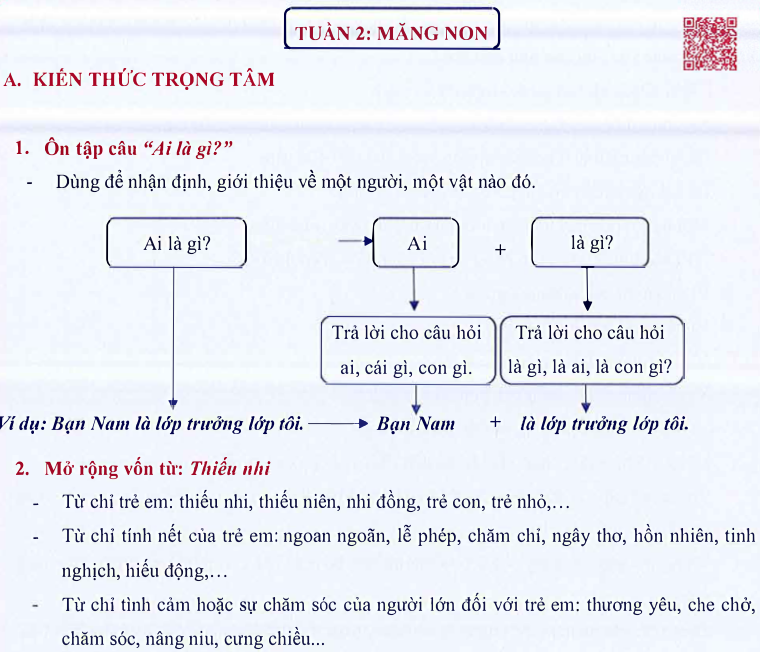 Ôn tập Tuần 2