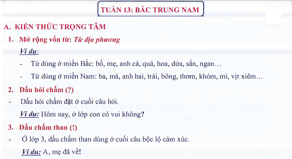 Ôn tập Tuần 13