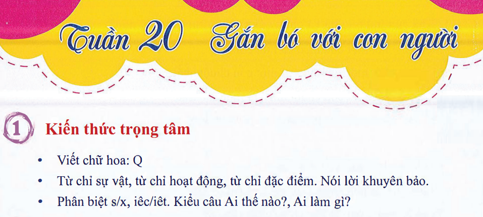 Ôn tập Tuần 20