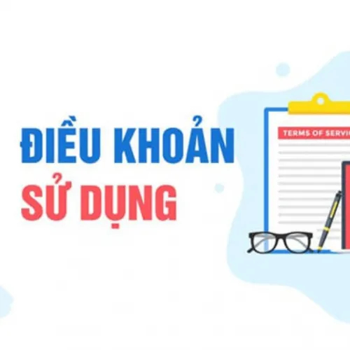 Điều Khoản Sử Dụng