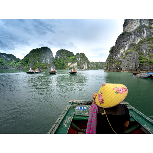 Công Ty TNHH Dịch Vụ Du Lịch Đồng Tháp River Tour