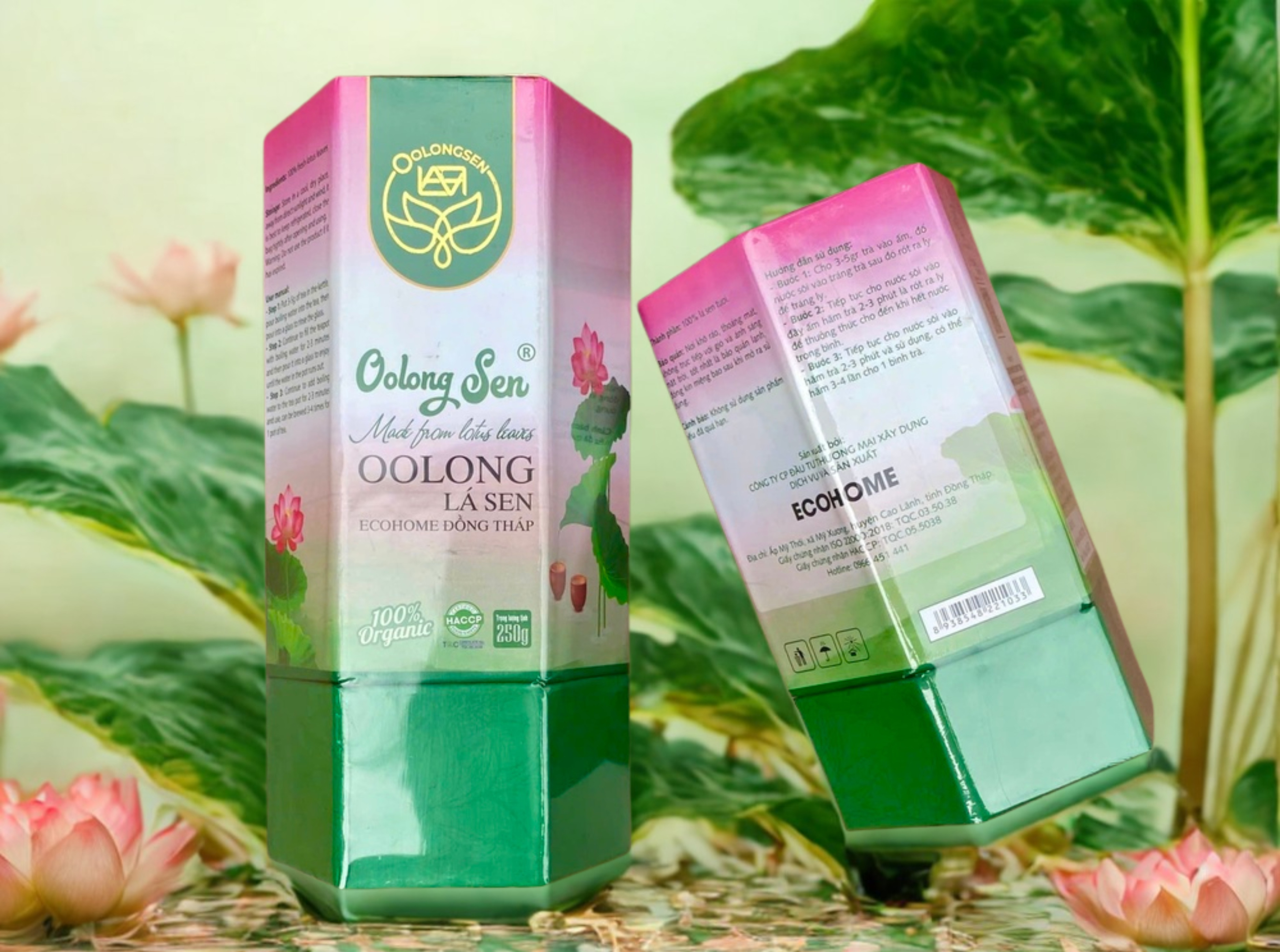 Giới thiệu tổng quát